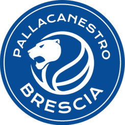 萨里迪纳摩
